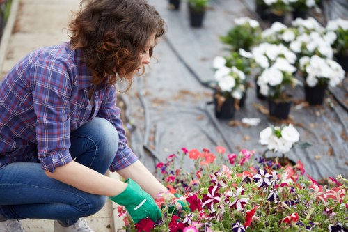 Professional garden clearance team working in Golders Green