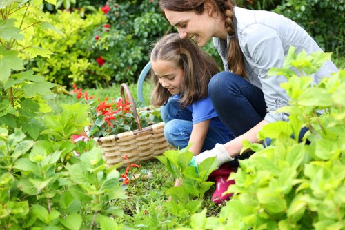 Variety of plants in a Golders Green garden