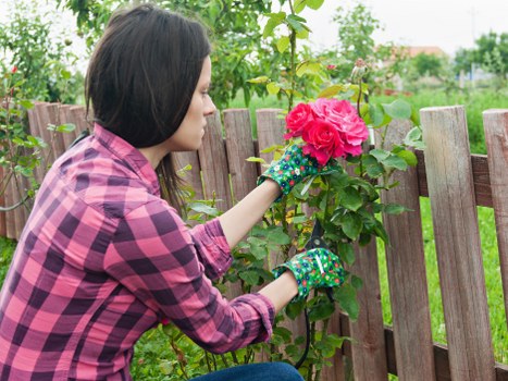 Professional landscaper designing a garden