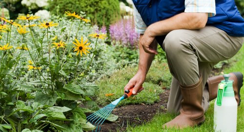 Various types of lawn mowers for different lawns
