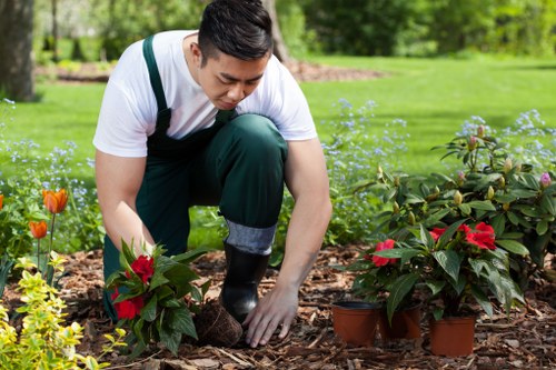 Professional mower operating on a lush lawn