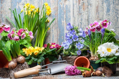 Pest control measures in a Golders Green garden
