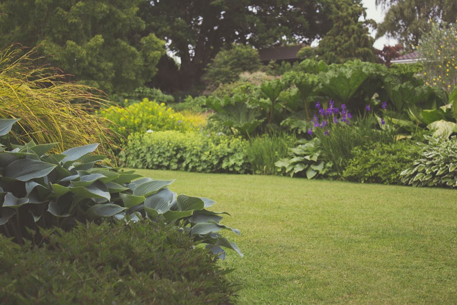 A well-maintained garden scene featuring a lush, neatly trimmed green lawn in the foreground, bordered by diverse flowering and foliage plants. To the left, there are large, broad-leaved hostas with g